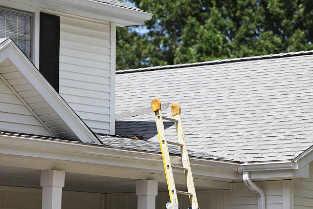 Best Shed Removal  in Crete, NE